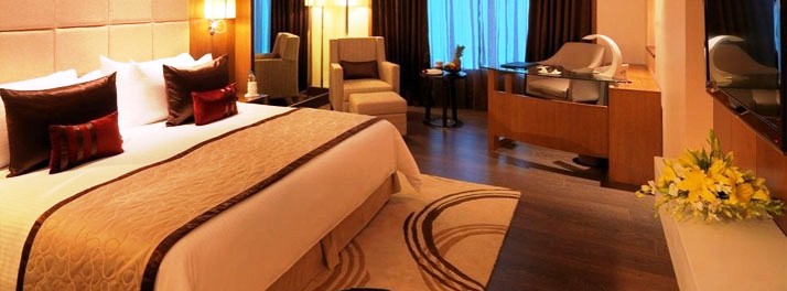 90/Radisson Blu - Agra 09.jpg